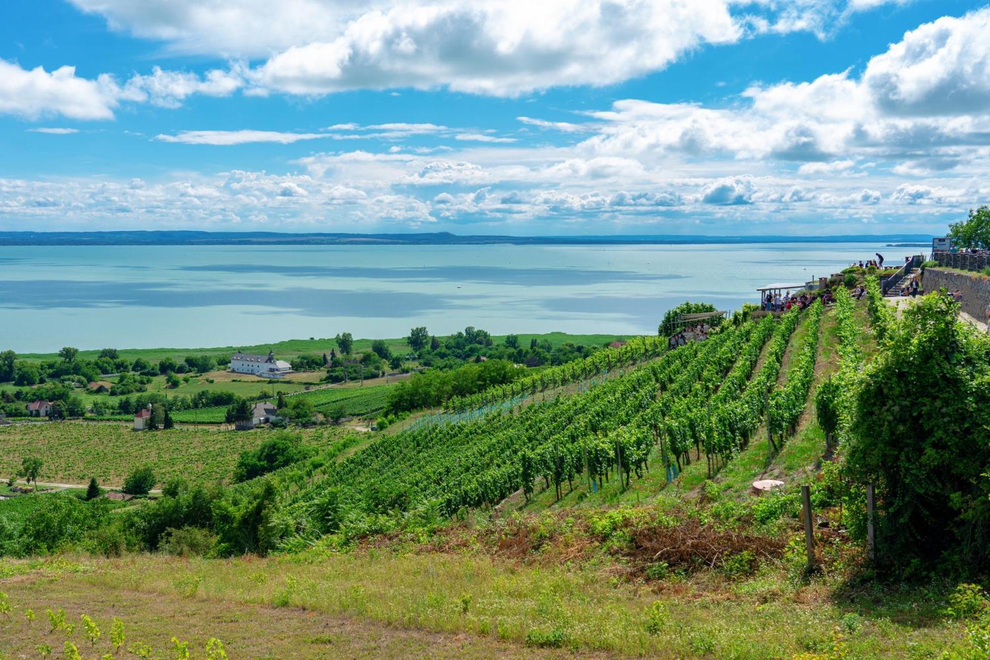 Lake Side Luxury Steps To The Lake Lela - Happy Rentals Balatonlelle Dış mekan fotoğraf